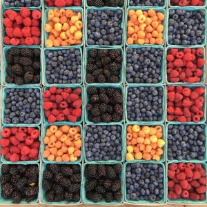 A colorful grid of antioxidant-rich berries and fruits, illustrating the importance of antioxidants and liver support in a healthy diet.