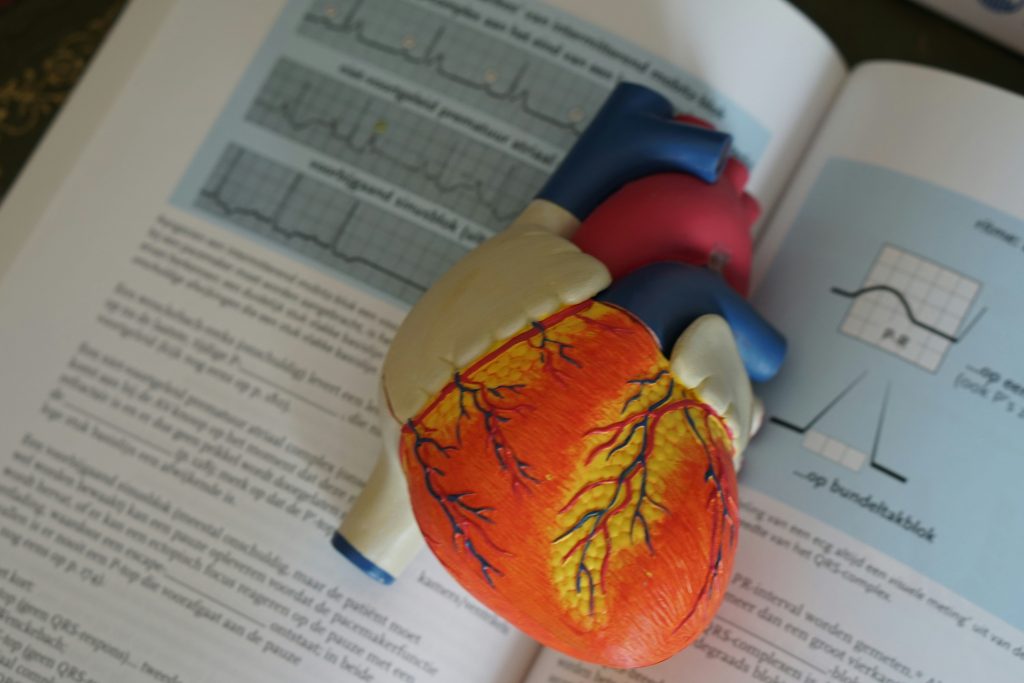 Healthy heart after affordable cardiovascular labs